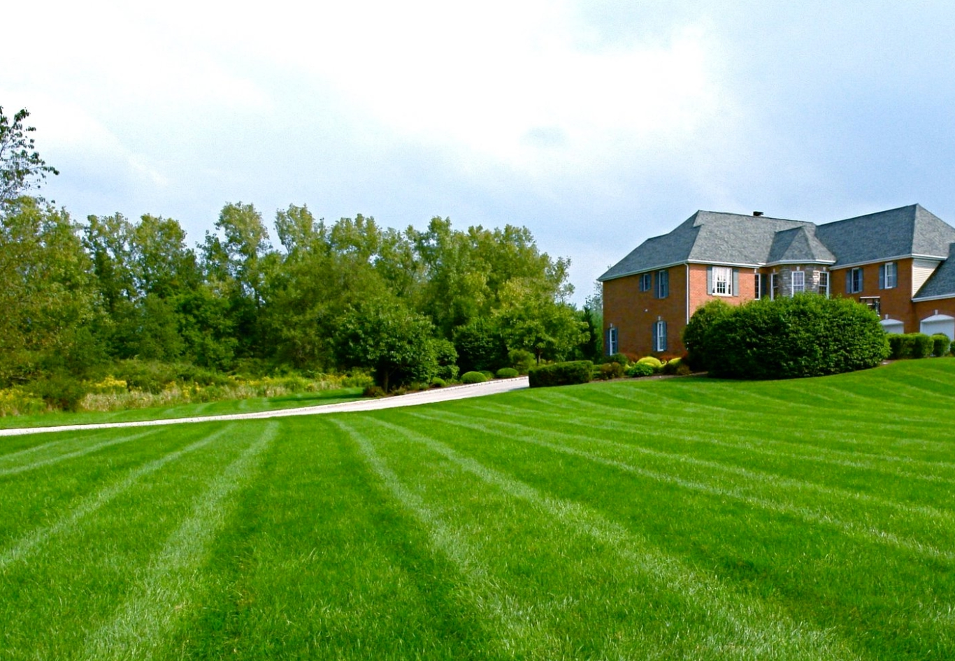 Lawn Care & Landscaping